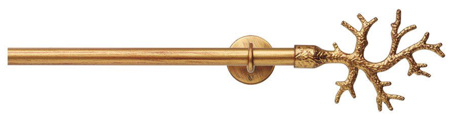 Karnisz Cora 169 złoto florenckie