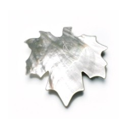 Foglia - Klips magnetyczny z masy perłowej - 2szt.